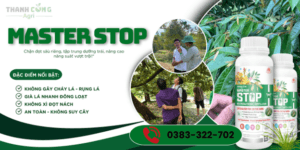 Top 10 kỹ thuật chặn đọt sầu riêng