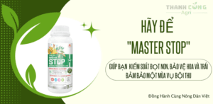 Chặn đọt sầu riêng hiệu quả