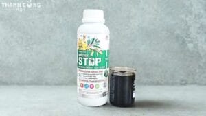 Chặn đọt sầu riêng hiệu quả giá rẽ với MASTER STOP