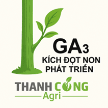 Chặn đọt sầu riêng ức chế GA3