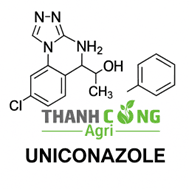 Chặn đọt sầu riêng với chất Uniconazole